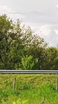 Slave Tih Walked Naked on the Highway Today for His Fans