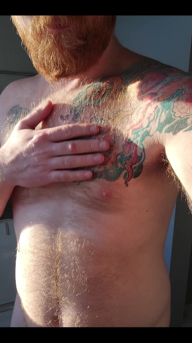 Ginger Fur in the Morning (Logan Stanley)