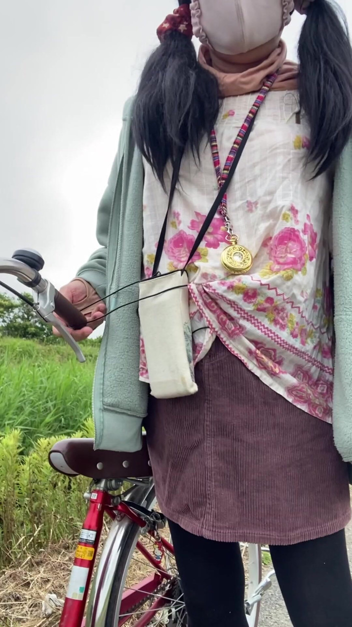 megu2002: 250号车，暴露在堤岸上