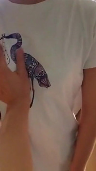 Asian angel 17470