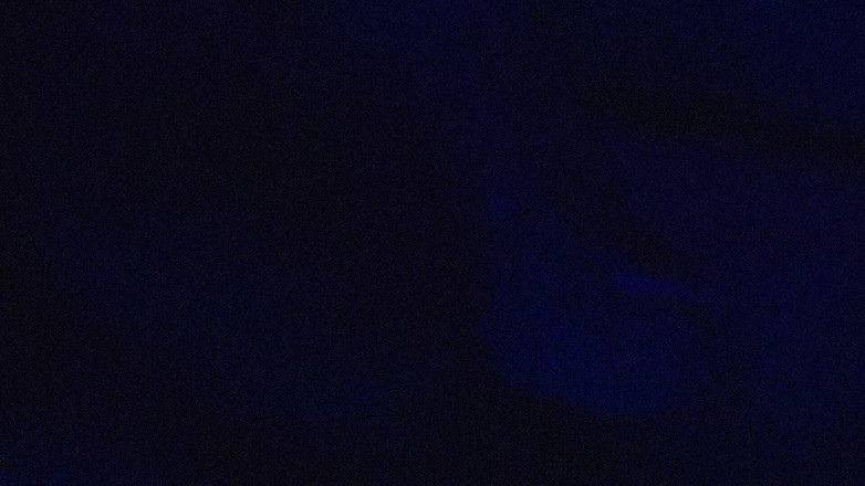 Roxxie rae page: Untitled Dot Vhs