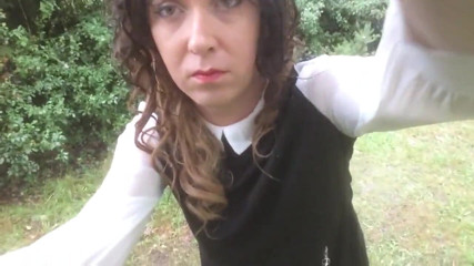 The Midnight Minx: The bird watching hive