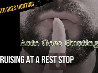 Anto goes hunting: Cruising At A Rest Stop