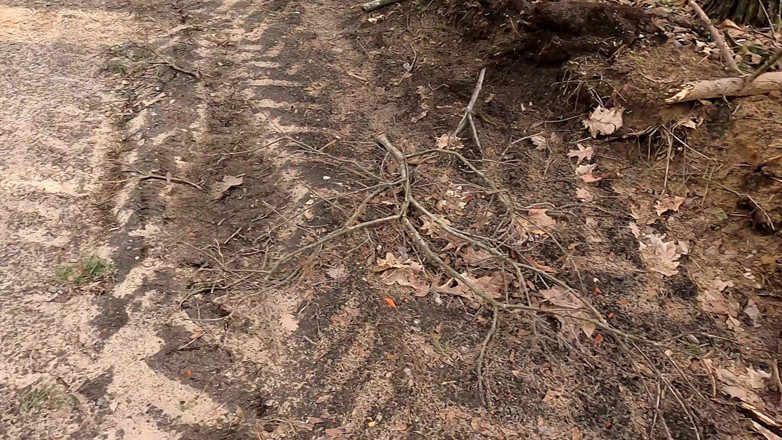 Bouncy Tits Action: Naked Vagina Spanking Near Hiking Way