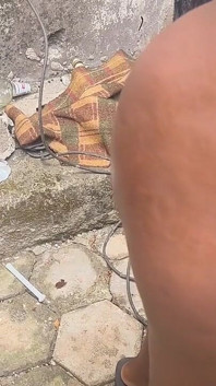 Jen chce test mého afrického ptáka