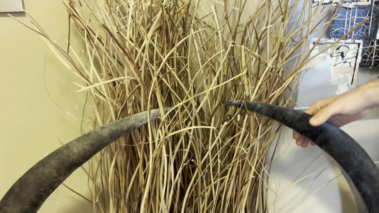 Tommy e Annika: Mi Sono Fatto Scopare Al Museo Fino a Quando Non...