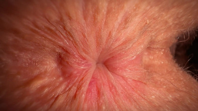 Gigi oficial: मैंने उसकी गांड चाटी, उसकी थोंग से पोंछ दी और अपनी पैंटी अपने साथ ले ली