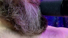 JJ7779: Sessão de 25