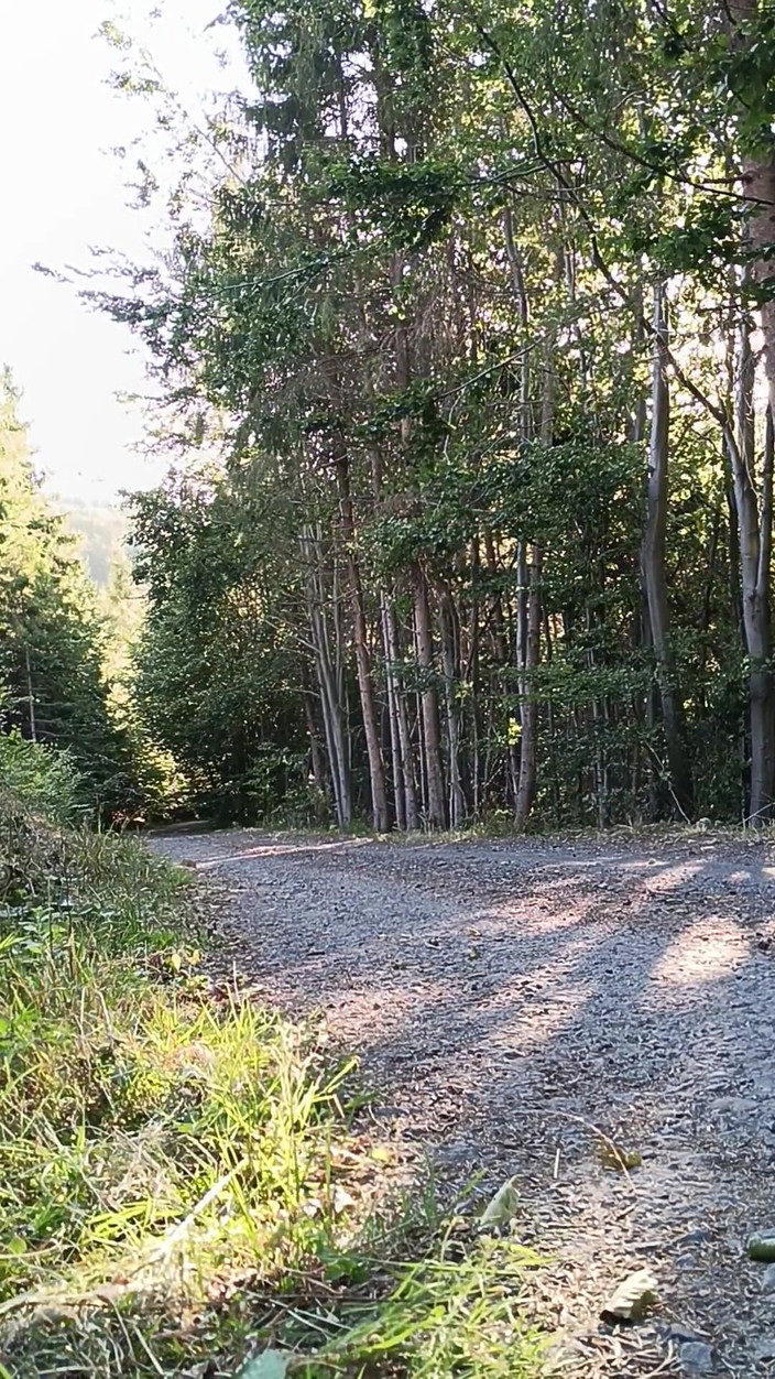 kickerscooter: Scooter Rider Venkovní masturbace