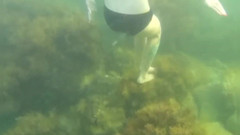 Risky Hairy Couple: Плавання і миготіння в морі