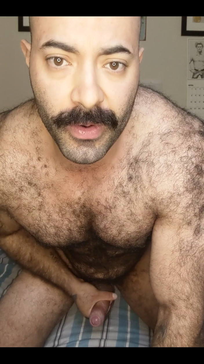 Lobo: Espero que isso alegra seu domingo!