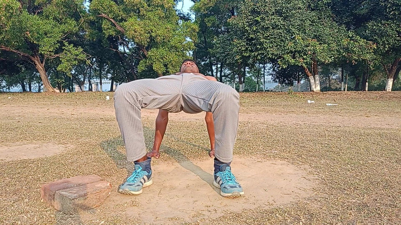 LinearOrnament35: Step Workout Hard