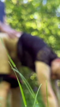 Seks anal di hutan 3