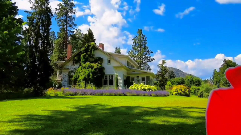 Kitty_Cross: Hermosa mariquita riendo mientras baila seductoramente en el escenario