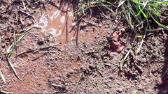 sweethanajapanese: Pisciare figa nel freddo all'aperto