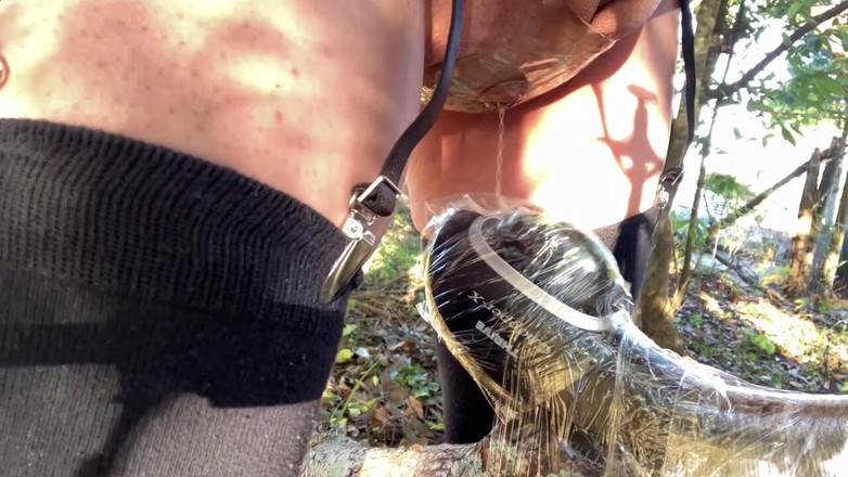 megu2002: 調教師様からの命令 No43 オナッシングマシーン