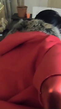 Plăcere dublă cu Milfycalla episodul 28 din 47 piele, ciorapi, muie și sex dur