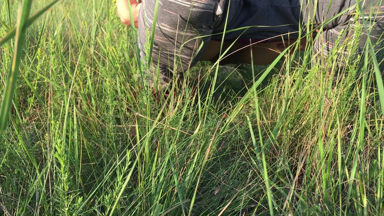 Risky Hairy Couple: Plassen in het gras in een weide