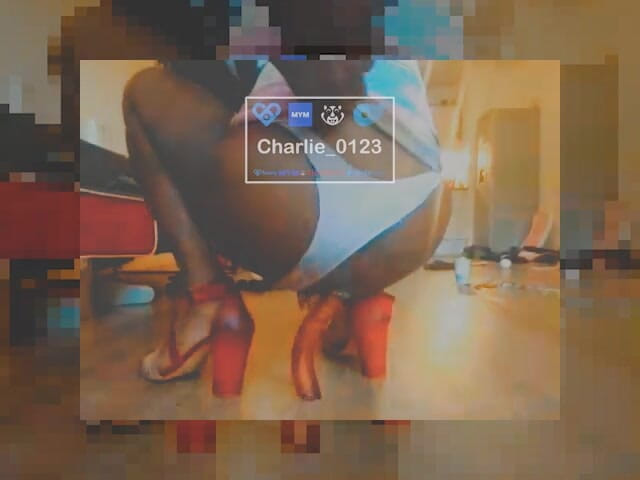 Charlie-0123: 30 centimetri, la grande sfida
