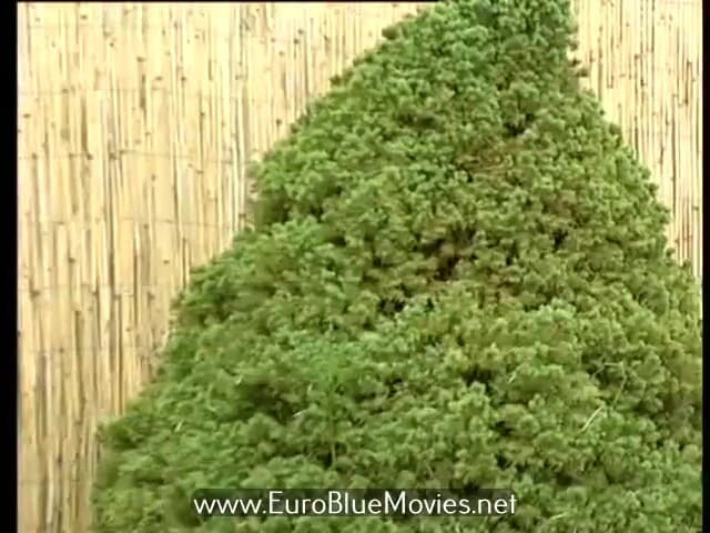 Euro Blue Movies: Dbm Wet69 11 - Fantastic trip (1990)