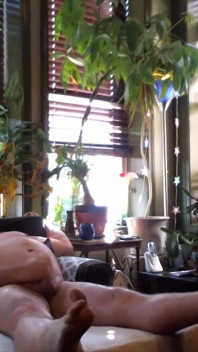 Urso masturba em um Chaise Lounge e atira