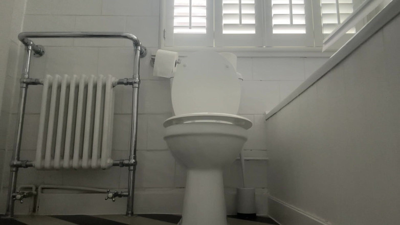 Miss Valentina: 射在我的马桶上