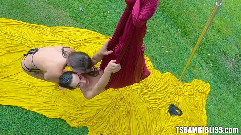 TransErotica: Fucking on the Swing