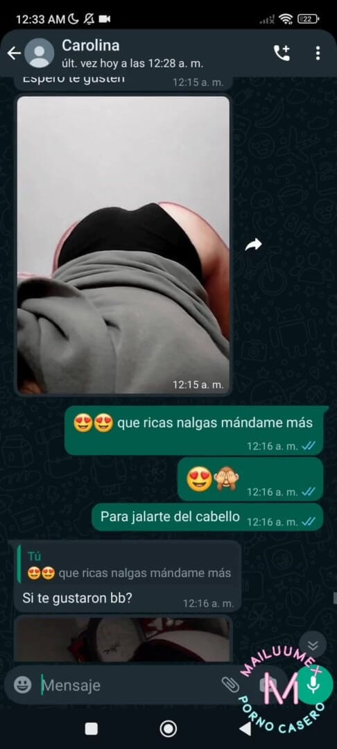 Mexicasero: 義理の妹の友人と