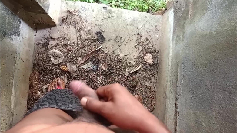 LinearOrnament35: Schoonzus