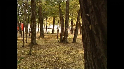MUSCHI TV - our best full movie: Nymphos prosí o masivní trestání ptáka