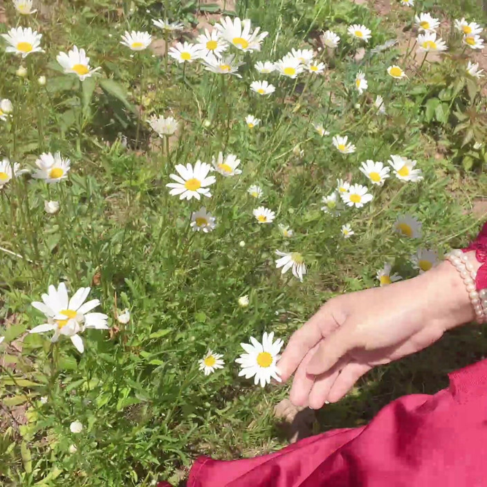 sweethanajapanese: Piss for Gardend on the Grass Beautifull