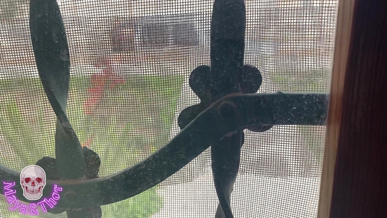 Mayay Thor X: 配達員は私を助け、それと引き換えに私は彼とセックスし、それを夫に見せるために録音します