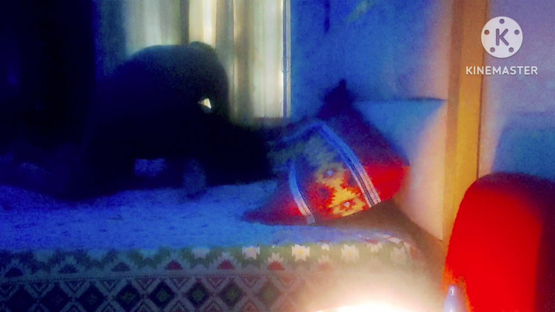 Ankita10000: Hotwife Ankita Ki Chudai Oyo Hotel Me Boyfriend Ne Ki