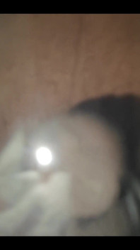 749771317682647040.mp4