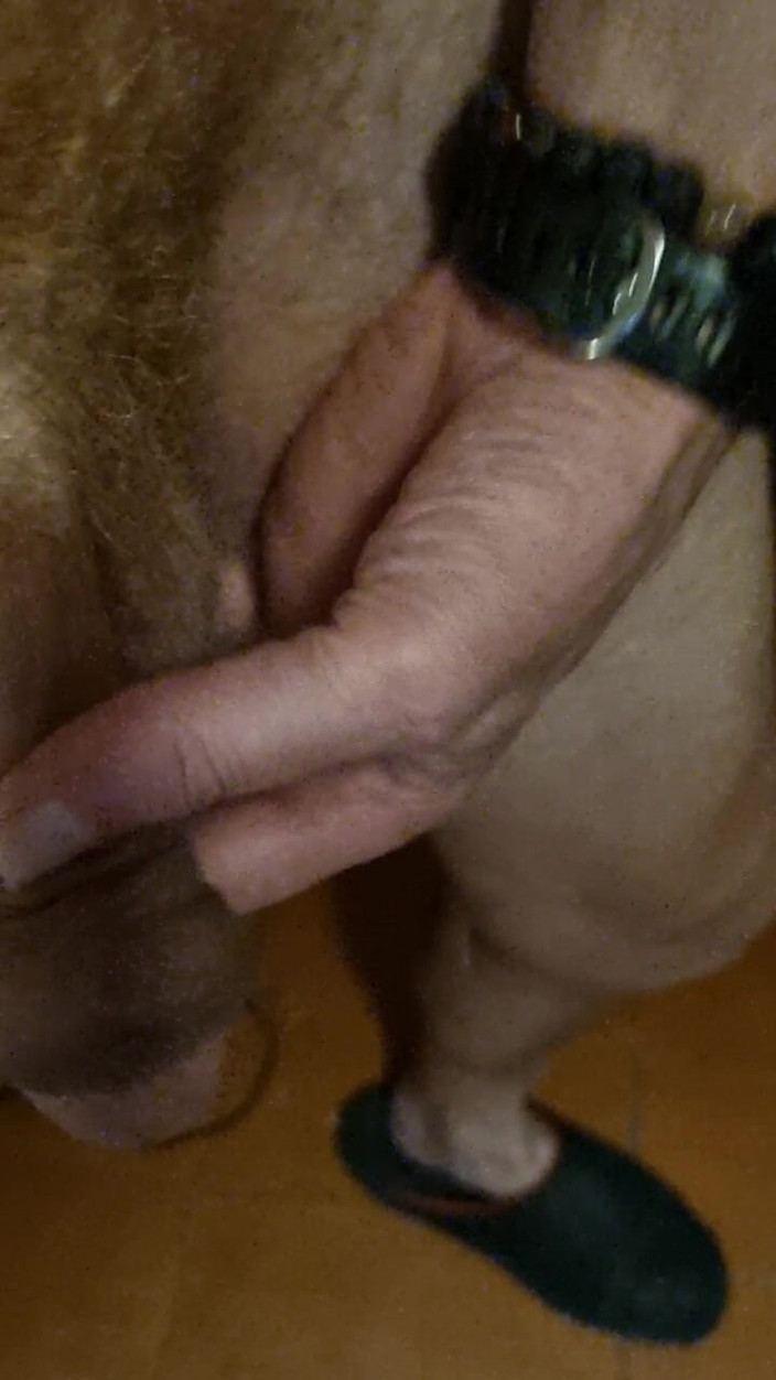 Mr sexhungry dick: Mein schwanz und meine tanzenden eier