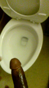 Cam Video