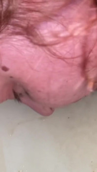 Lambendo banheiro, chupando escova do banheiro e lambendo cuspe do chão