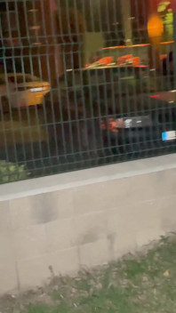 Вона була одна на вулиці, і я тримав її компанію...
