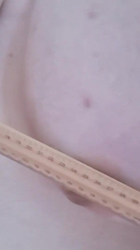 Boobie výprask