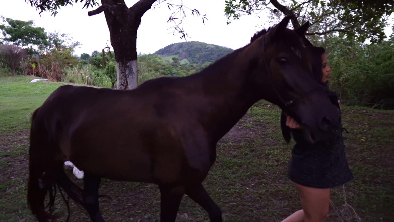 Ellas 4: Filme de fogo