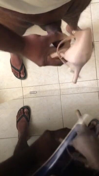Sexy sereppu: Masturbating with a High Heel Shoe