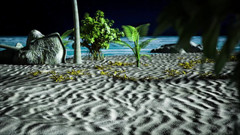 AVN Teller: Timestamps: Lost Love #09 - 노예 보지를 먹는 동안 애널 질싸를 받는 마담