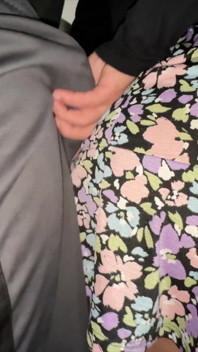 She Grabs the Penis of a Stranger with a Huge Erection.
