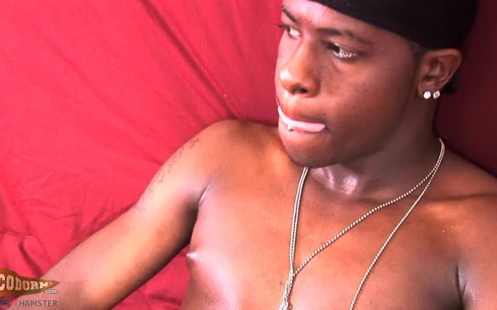 CocoDorm: Lil Dre