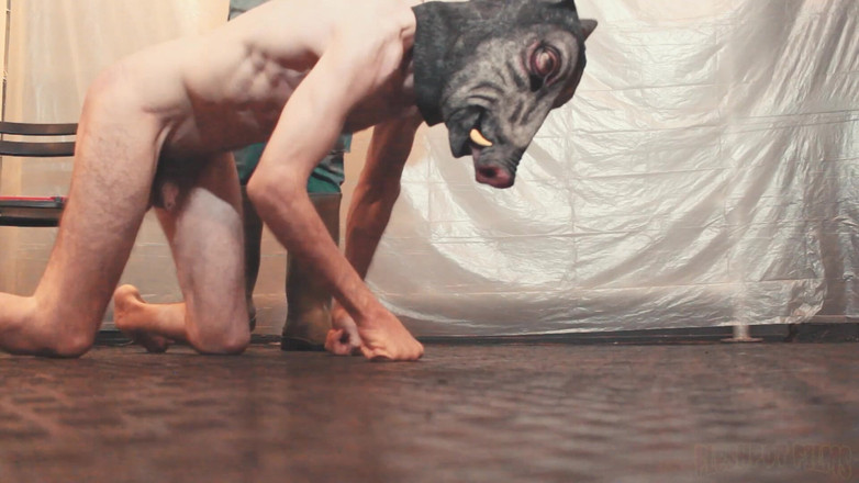 Fleshpot films: Hướng dẫn chăn nuôi lợn