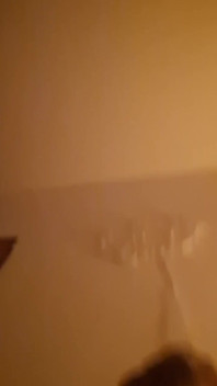 Homemade 2