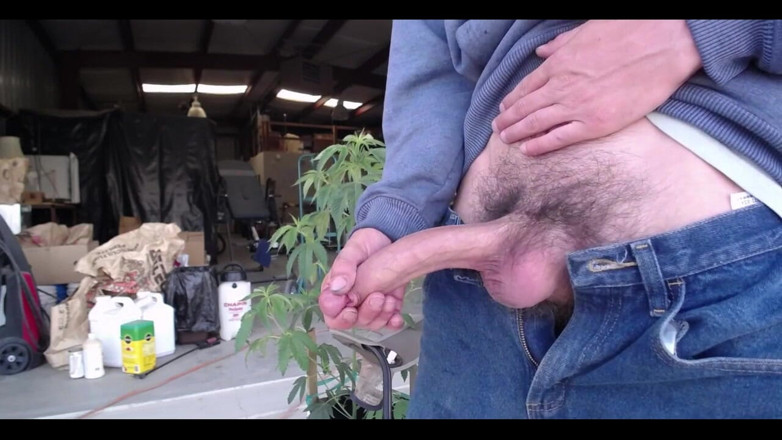 Joe Iandola: Chaturbate Show