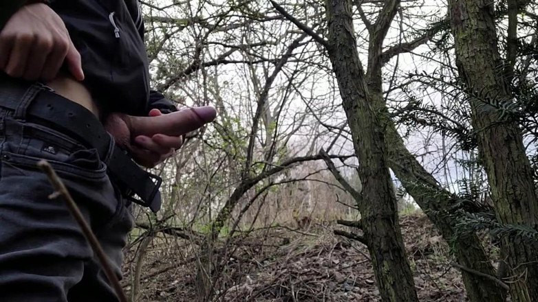 qaz11: labă pe cameră-223
