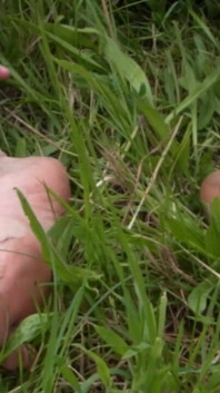 Dirty Outdoor Feet
