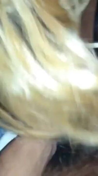 Coota Dancing Dick A2M